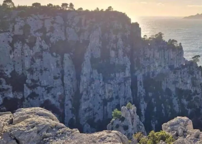 Le Perchoir De Cocoon