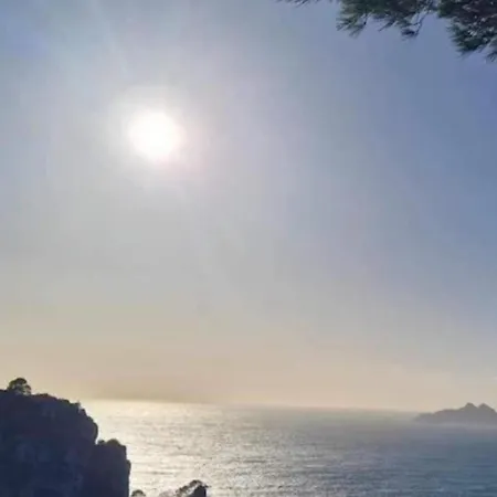 Le Perchoir De Cocoon * Cassis