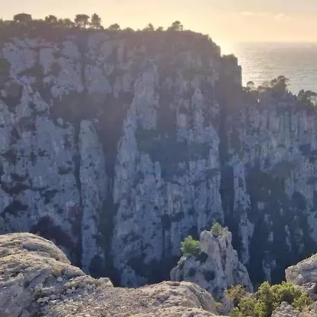 Le Perchoir De Cocoon